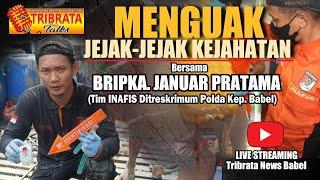 LIVE  LANJUTAN TB TALKS MENGUAK JEJAK KEJAHATAN bersama BRIPKA. JANUAR Tim INAFIS Polda Babel.