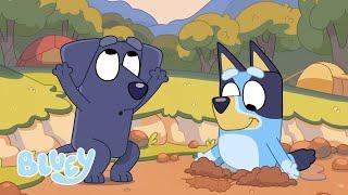 Exploration de la Terre avec Bluey  Bluey Français Chaîne Officielle