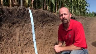 Long-Term Conventional and No-tillage Systems Compared