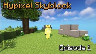 A New Beginning - Hypixel Skyblock Ep.1