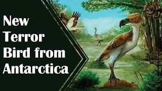 New Terror Bird from Antarctica