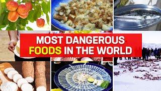 Risk on the Plate Exploring High-Risk Foods