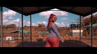 Ashana Finesse - More Meat Than Rice Official Video