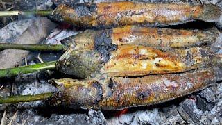 Cắm Câu Cá Lóc  Cá Cắm Được Đem Nướng Ăn Tại Chỗ Cùng Cơm Nóng Ngoài Rừng  Món Ăn Dân Dã Ngon Nhất
