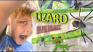 Lizard BUG HUNT for KIDS Bug Hunt for REAL BUGS to feed our PET LIZARD