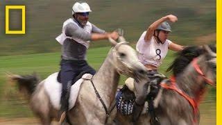Grueling 80-Mile Horse Race Demands More Than Speed  National Geographic