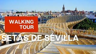 Setas de Sevilla Mushrooms of Seville Tour aka Metropol Parasol