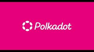 Setting up a polkadot js wallet