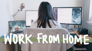 Working From Home  How to Stay Motivated Focused and Productive