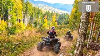 Crazy Ride In Awesome Nature ️ Yellowstone Feeling️