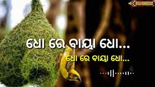 ଧୋ ରେ ବାଇଆ ଧୋ  DHO RE BAYA DHO  ODIA POEM FOR CHILDREN  #Nanabayasongforchildren #dhorebayadho