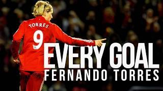 Every Fernando Torres Premier League Goal  Liverpool FC