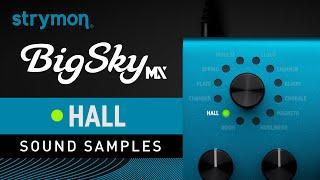 Strymon BigSky MX  Sound Samples  Hall Reverbs