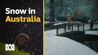 Heavy snowfall during Antarctic blast Australia 2021  ABC Australia