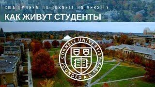 Университеты США Гуляем по Cornell University. Как живут студенты в США