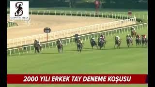 23 Yıl Öncesinin Unutulmaya Yüz Tutmuş Tayları