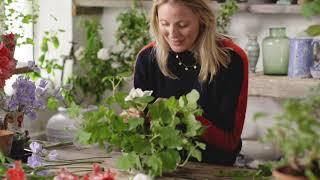 Willow Crossley creates a flower arrangement for a summer table  House & Garden