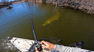 Fishing a SMALL RIVER for GIANT MUSKIES 12 MUSKY IN ONE DAY