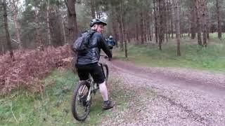 Thetford Forest going for a ride