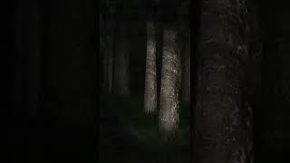 How Scary is Slender The Eight Pages? Horror Game Tier List