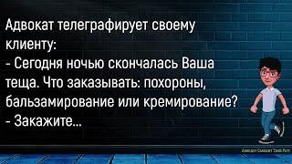 Жена Ревниво Спрашивает Мужа...Большой Сборник Смешных АнекдотовДля Супер Настроения