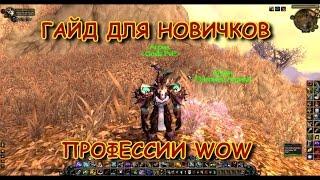 Гайд для новичков WoW. Профессии.