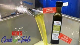 How Early Harvest Extra Virgin Olive Oil Is Produced  Agourelaion  Kens Greek Table