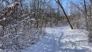 22 January 2022 - Winter in West Park Sofia - Bulgaria