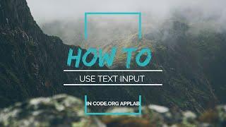 How to use text input in code org applab