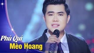 Mèo Hoang - Phú Quí  Nhạc Trữ Tình Hay Tê Tái Con Tim Official Music Video