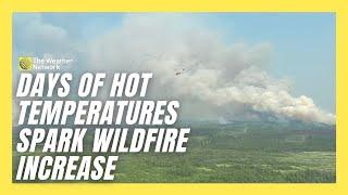 Sharp Increase in Wildfire Activity as Thermometer Skyrockets