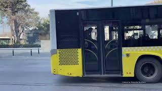 Buses in Istanbul Turkey 2024 - istanbul otobüsleri