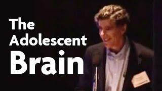 Dr. Richard Davidson The Adolescent Brain