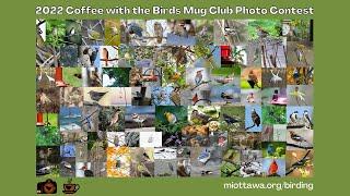 2022 Coffee with the Birds Mug Club Photo Contest