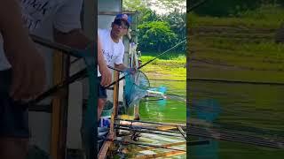 Terlalu Besar Harus Pakai Seser Mancing Di Waduk Wadaslintang #shorts