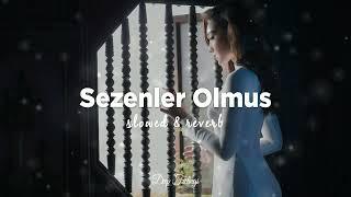 Sura İskenderli - Sezenler Olmuş Slowed + Reverb Lyrics  Sözleri