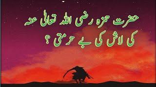 حضرت حمزہ رضی اللہ تعالیٰ عنہ کی لاش کی بے حرمتی ؟#urdu #smislamicstories #aslamnhbvoice