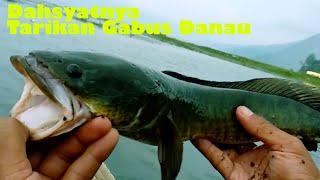 Mancing Casting Gabus di DANAU Sambaran Dahsyat