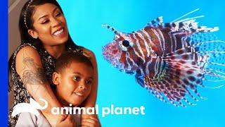 Keyshia Cole Chooses Some Exotic Fish To Fill Her New Tank  Tanked