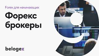 9. Форекс брокеры. Злодеи или супергерои?