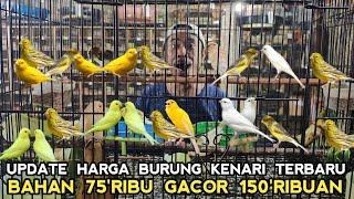 KENARI GACORAN KALO SUDAH BEGINI JADI 150 RIBUAN DI PASAR BURUNG PRAMUKA