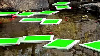 Frame in Water Green Screen