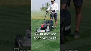 GREAT STRIPES from a PUSH MOWER?? Check out this mower on my website