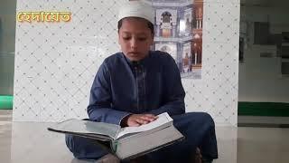 তেলায়াত  সূরা বাকারা  New Islamic video  হেদায়েত  multimedia