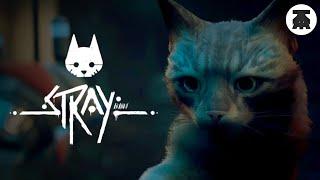 Обзор игры Stray за 3 минуты