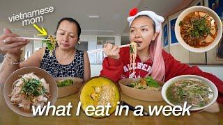 what my VIETNAMESE MOM cooks for me in a week living in NYC