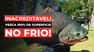 INACREDITÁVEL PESCA 100% NA SUPERFÍCIE NO FRIO