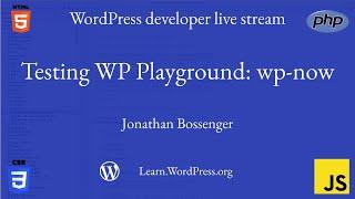 Testing WP Playground with wp-now