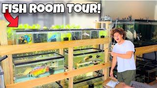ALL My AQUARIUMS Fish Room TOUR