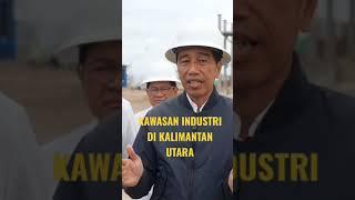 Jokowi Sebut Energi Hijau di Kalimantan Utara
